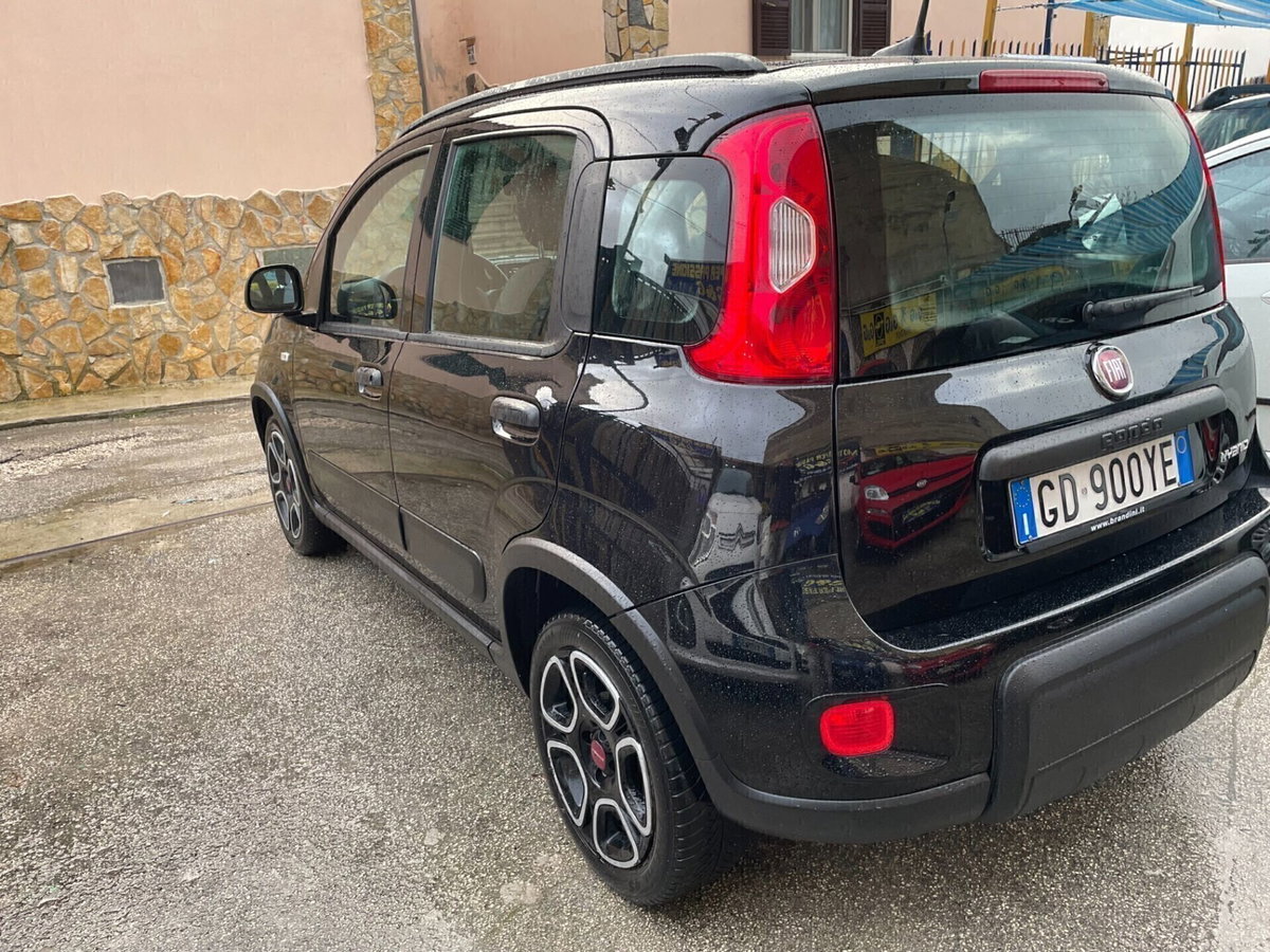 Fiat Panda Cross Cross 1.0 FireFly S&S Hybrid (14)