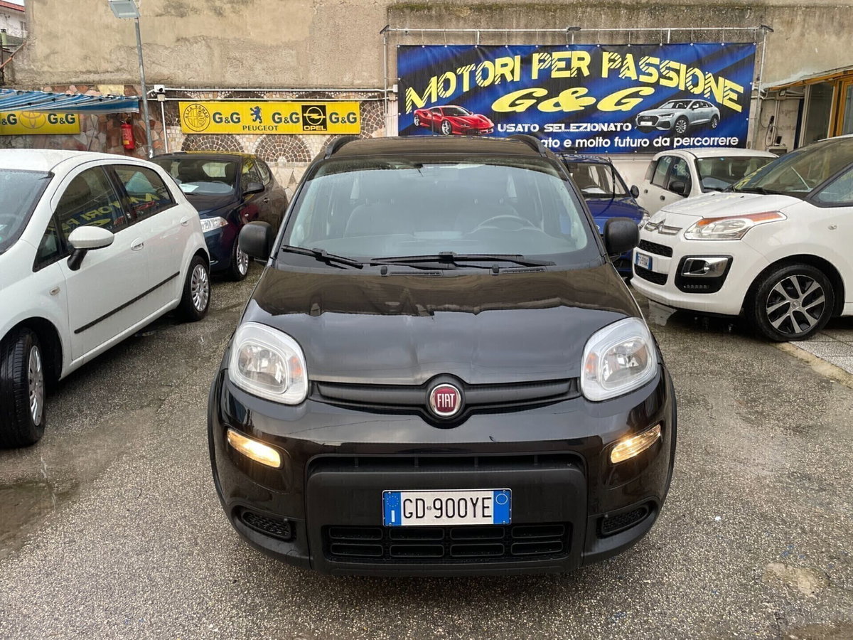Fiat Panda Cross Cross 1.0 FireFly S&S Hybrid (6)