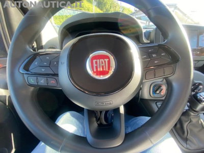Fiat Panda 1.0 firefly hybrid s&s 70cv 5p.ti (13)