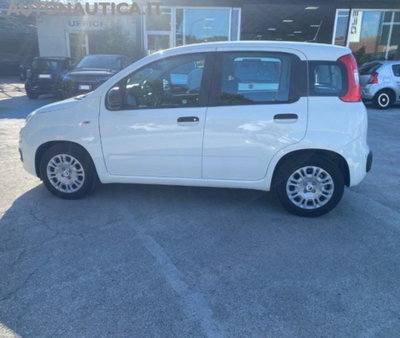 Fiat Panda 1.0 firefly hybrid s&s 70cv 5p.ti (2)