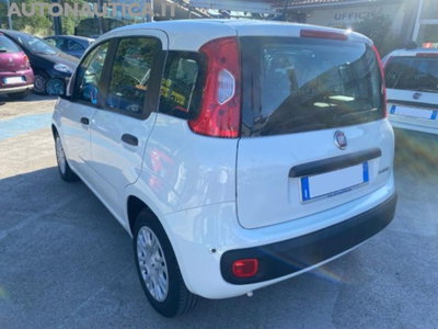 Fiat Panda 1.0 firefly hybrid s&s 70cv 5p.ti (3)