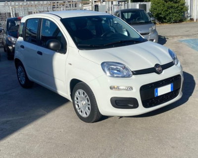 Fiat Panda 1.0 firefly hybrid s&s 70cv 5p.ti (6)
