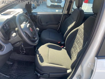 Fiat Panda 1.0 firefly hybrid s&s 70cv 5p.ti (8)