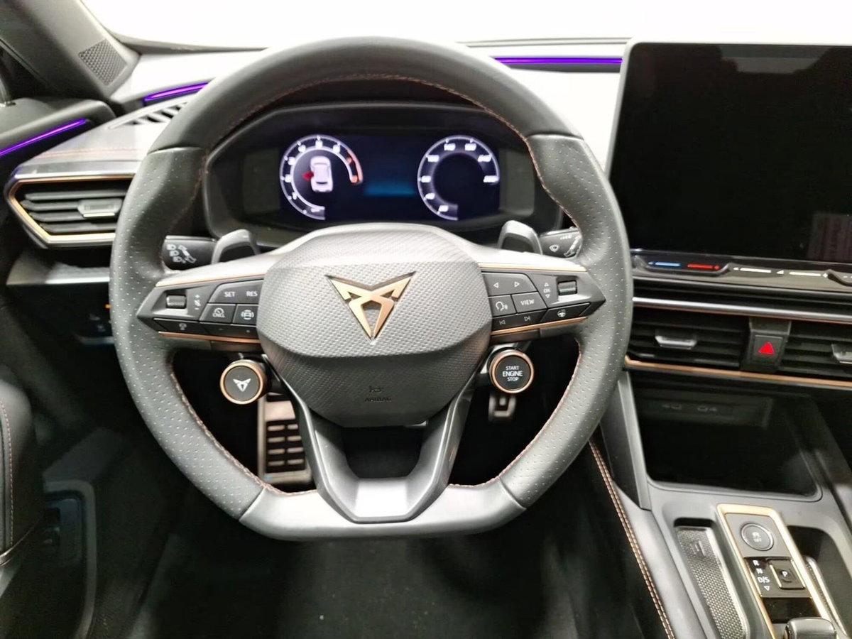 Cupra Formentor 2.0 tsi VZ 4drive 333cv dsg (17)