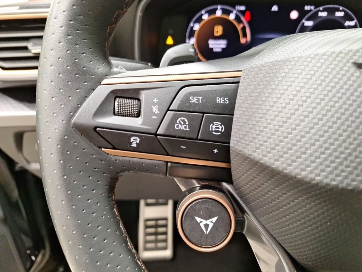 Cupra Formentor 2.0 tsi VZ 4drive 333cv dsg (18)
