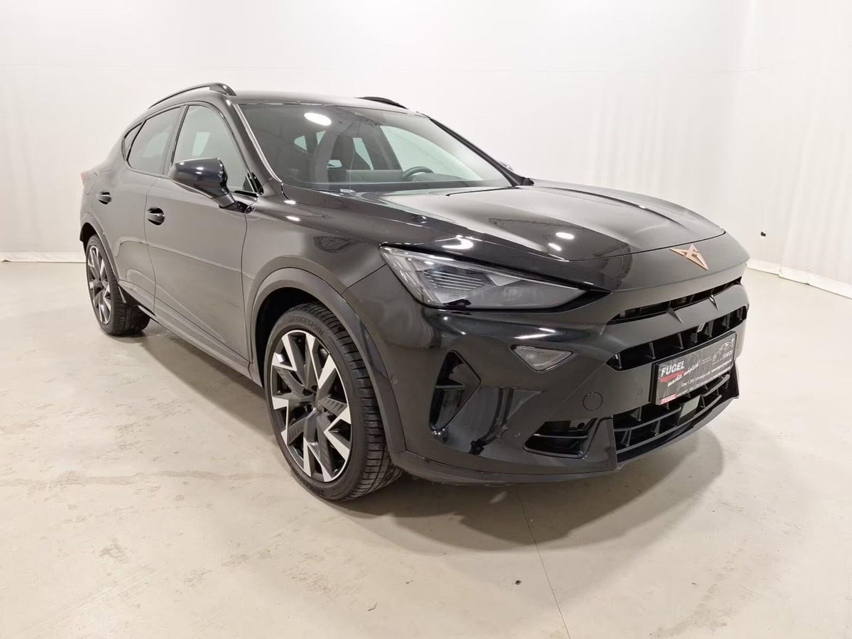 Cupra Formentor 2.0 tsi VZ 4drive 333cv dsg (8)