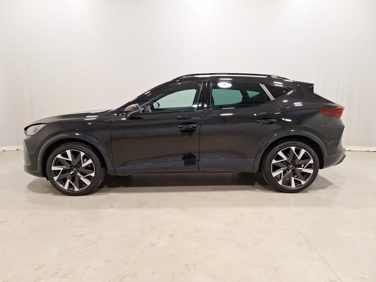Cupra Formentor 2.0 tsi VZ 4drive 333cv dsg (9)