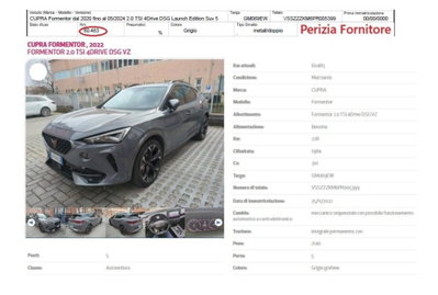 Cupra Formentor Formentor 2.0 TSI 4Drive DSG VZ Launch Edition (14)