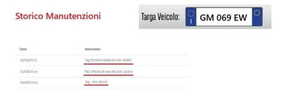 Cupra Formentor Formentor 2.0 TSI 4Drive DSG VZ Launch Edition (15)
