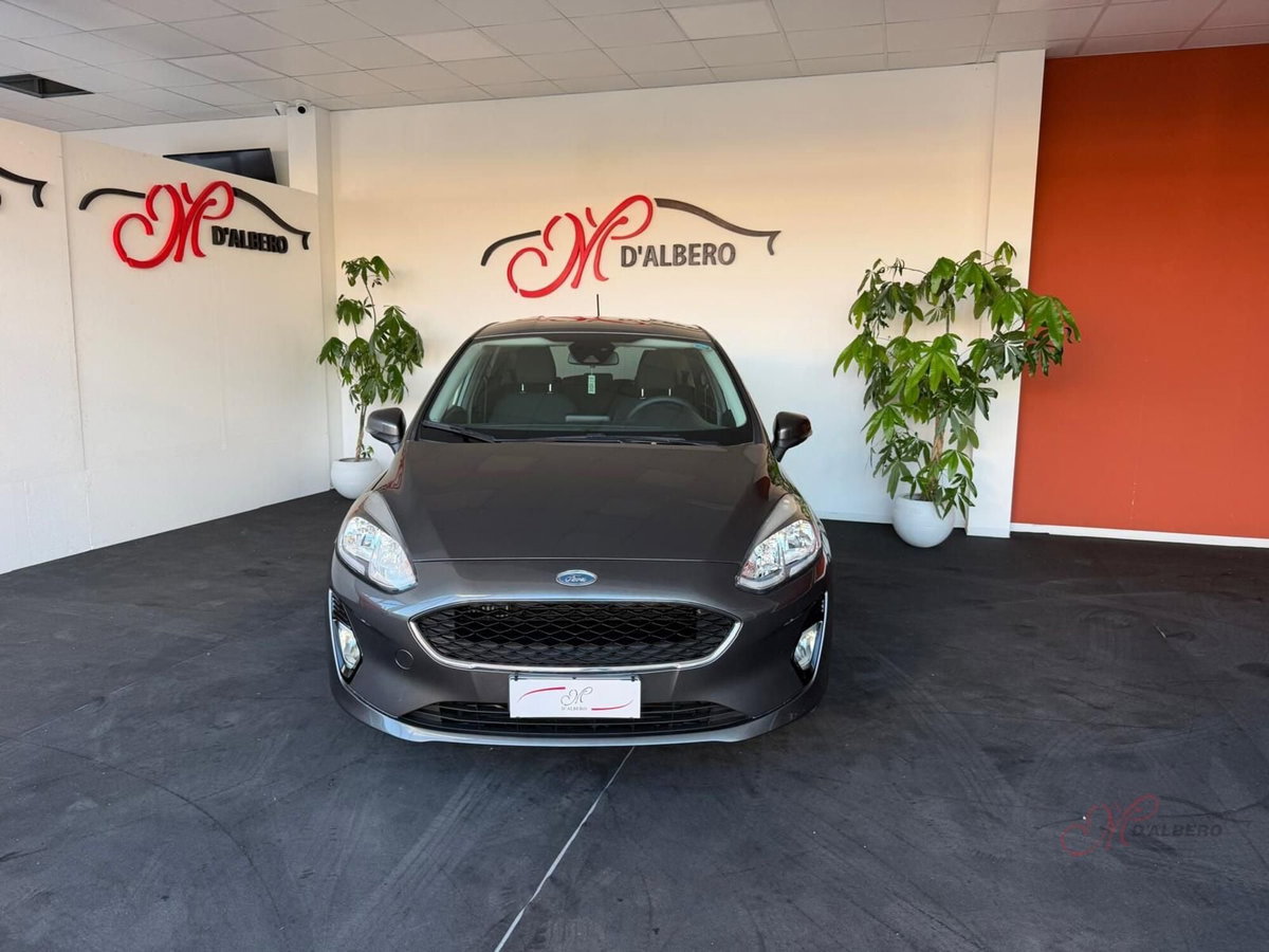 Ford Fiesta 1.5 TDCi 120 CV 5 porte Titanium (2)