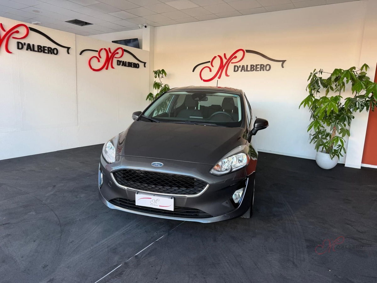 Ford Fiesta 1.5 TDCi 120 CV 5 porte Titanium (3)