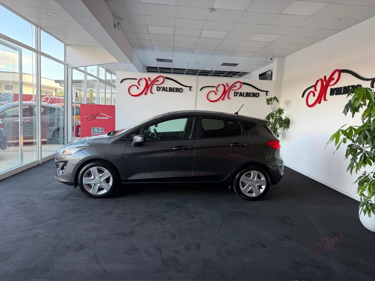 Ford Fiesta 1.5 TDCi 120 CV 5 porte Titanium (4)