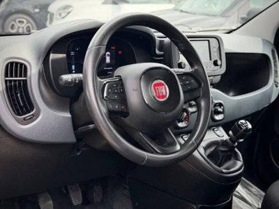 Fiat Panda 1.0 firefly hybrid s&s 70cv 5p.ti (14)