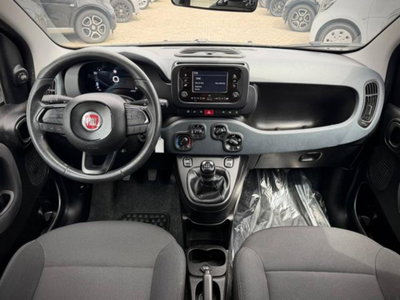 Fiat Panda 1.0 firefly hybrid s&s 70cv 5p.ti (15)