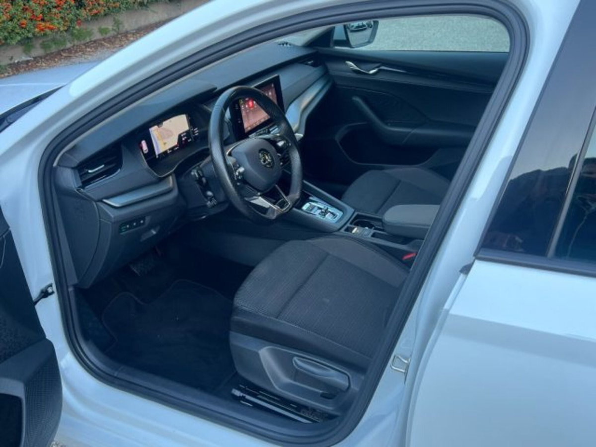 Skoda Octavia Station Wagon 2.0 16V FSI 4x4 Wagon Scout (13)