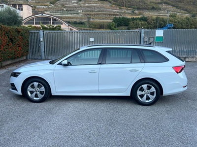 Skoda Octavia Station Wagon 2.0 16V FSI 4x4 Wagon Scout (8)