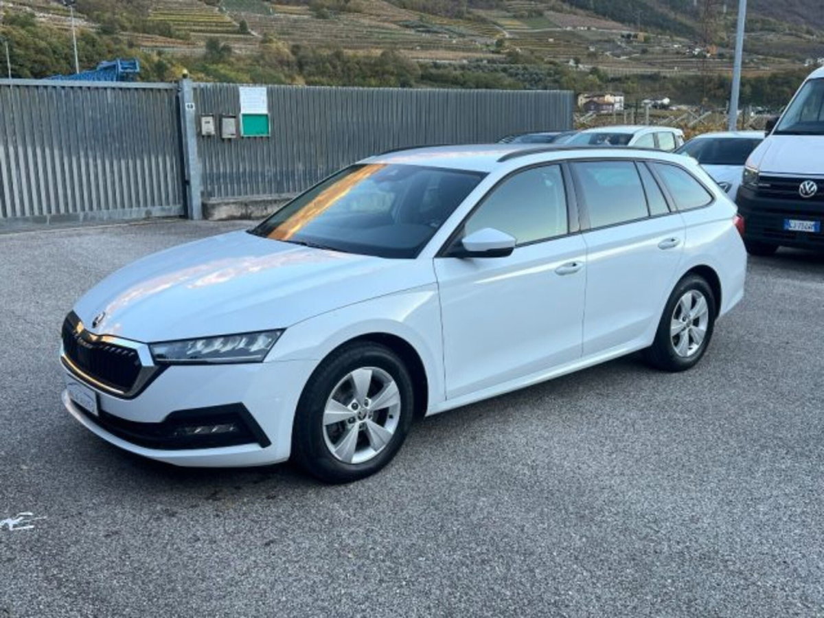 Skoda Octavia Station Wagon 2.0 16V FSI 4x4 Wagon Scout (9)