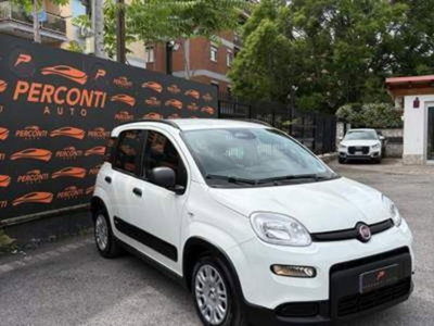 Fiat Panda 1.0 FireFly S&S Hybrid (10)