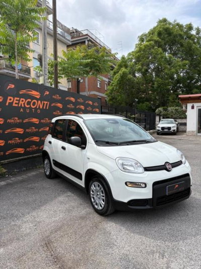 Fiat Panda 1.0 FireFly S&S Hybrid (2)