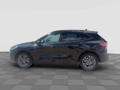 Ford Kuga 2.0 EcoBlue Hybrid 150 CV 2WD ST-Line (2)