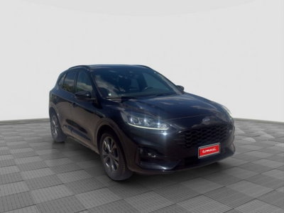 Ford Kuga 2.0 EcoBlue Hybrid 150 CV 2WD ST-Line (7)