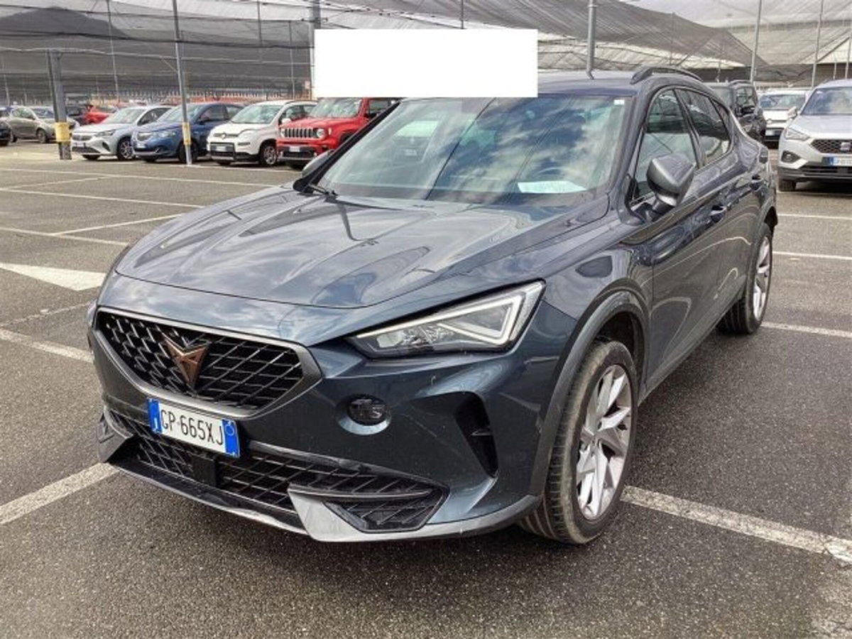 Cupra Formentor Formentor 2.0 tdi 4drive 150cv dsg