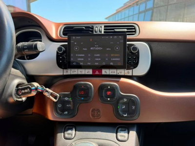 Fiat Panda Cross Cross 1.3 MJT S&S 4x4 (10)