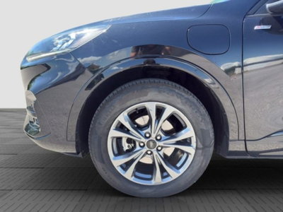 Ford Kuga 2.5 Plug In Hybrid 225 CV CVT 2WD ST-Line (15)