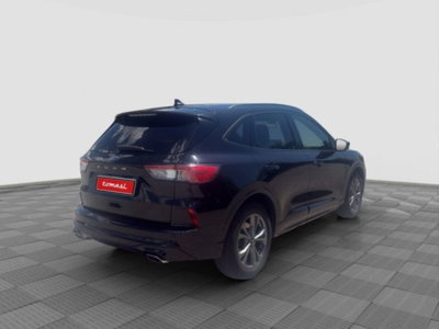 Ford Kuga 2.0 EcoBlue Hybrid 150 CV 2WD ST-Line (5)