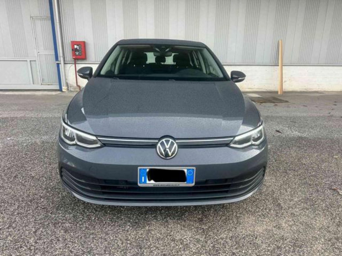Volkswagen Golf 1.6 TDI 115 CV 5p. Business BlueMotion Technology (2)