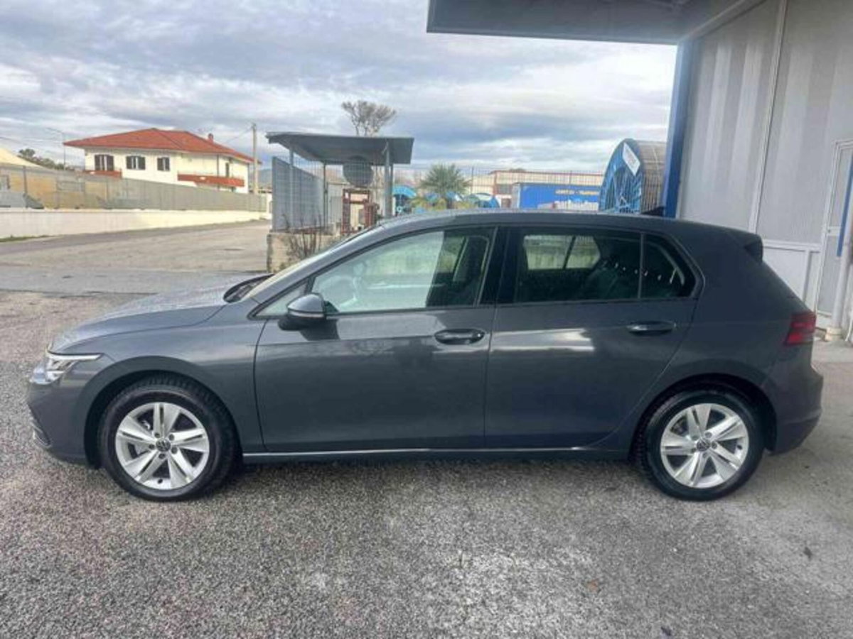 Volkswagen Golf 1.6 TDI 115 CV 5p. Business BlueMotion Technology (3)