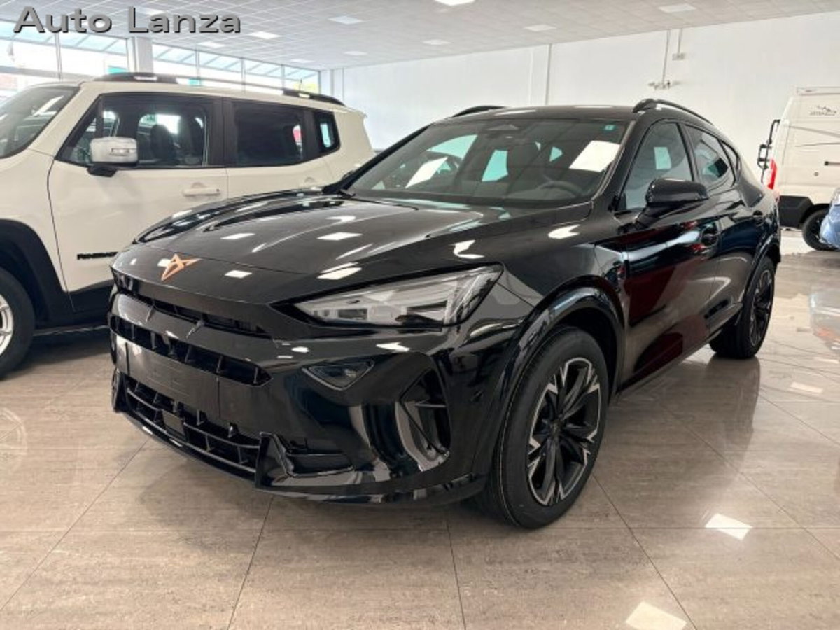 Cupra Formentor 1.5 e-hybrid Business 204cv dsg (2)