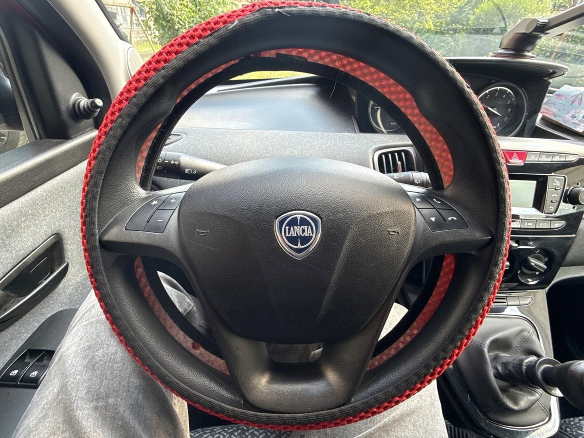 Lancia Ypsilon 1.2 69 CV 5 porte GPL Silver Plus (11)
