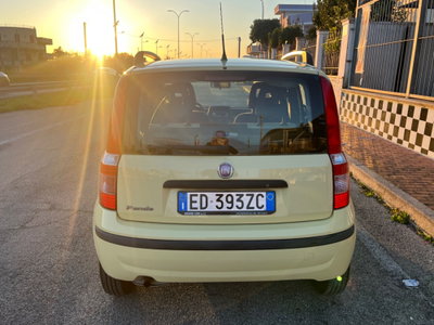 Fiat Panda 1.2 Dynamic (6)