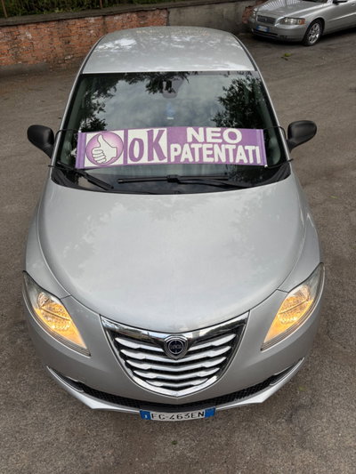Lancia Ypsilon 1.3 MJT 16V 80 CV 5 porte S&S Platinum (3)