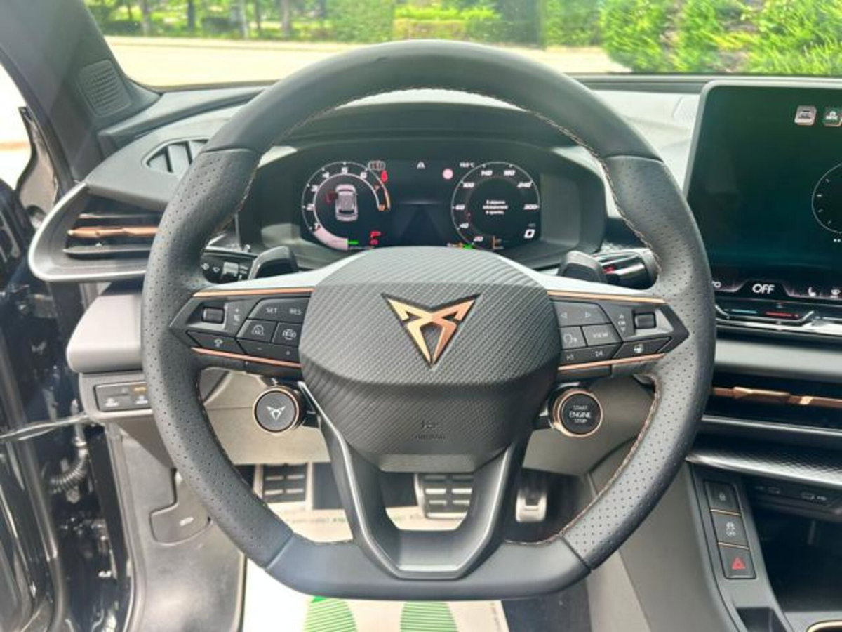 Cupra Terramar 1.5 hybrid 150cv dsg (13)
