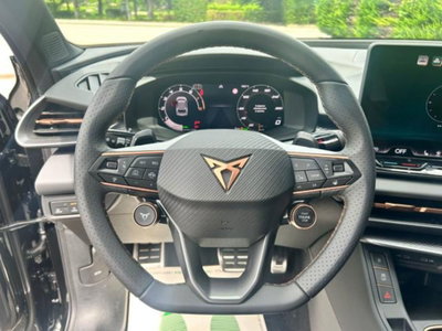 Cupra Terramar 1.5 hybrid 150cv dsg (13)