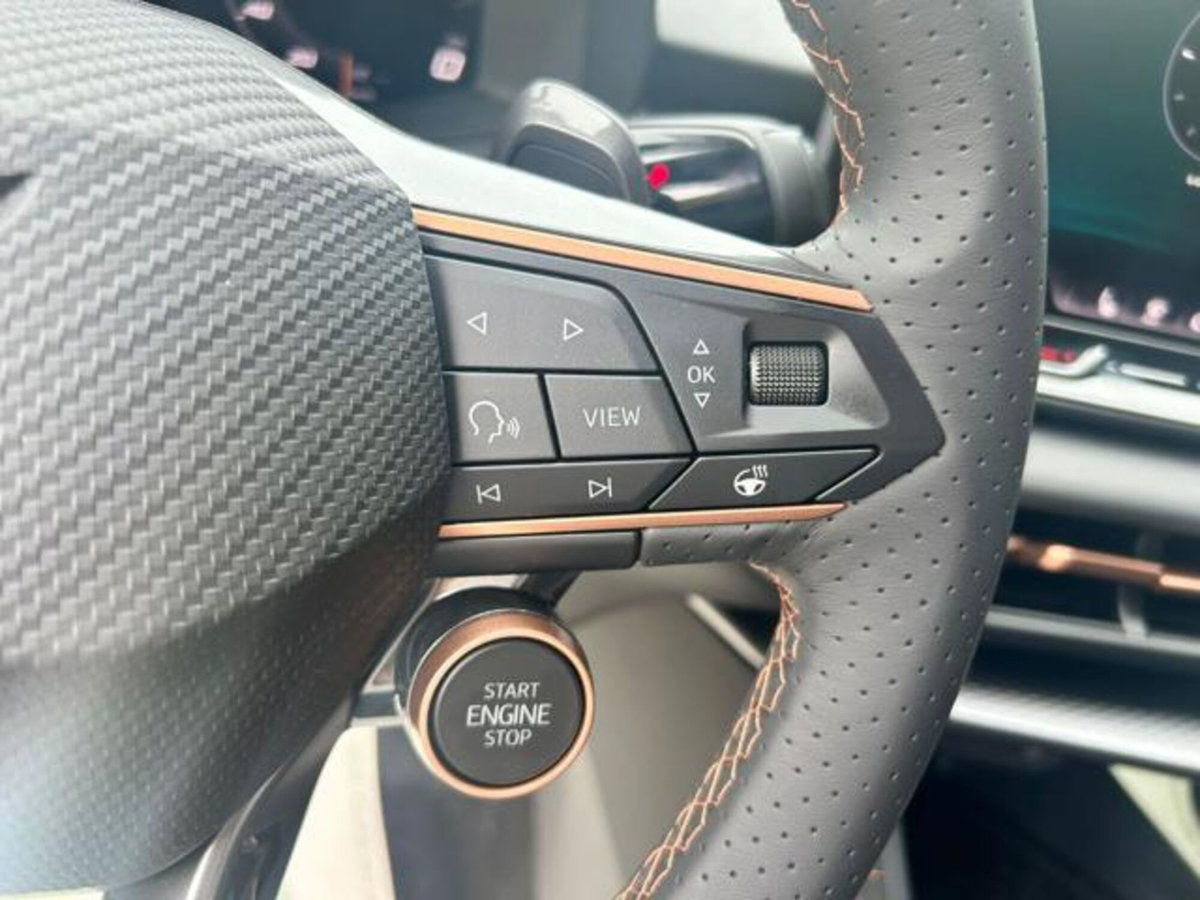 Cupra Terramar 1.5 hybrid 150cv dsg (14)