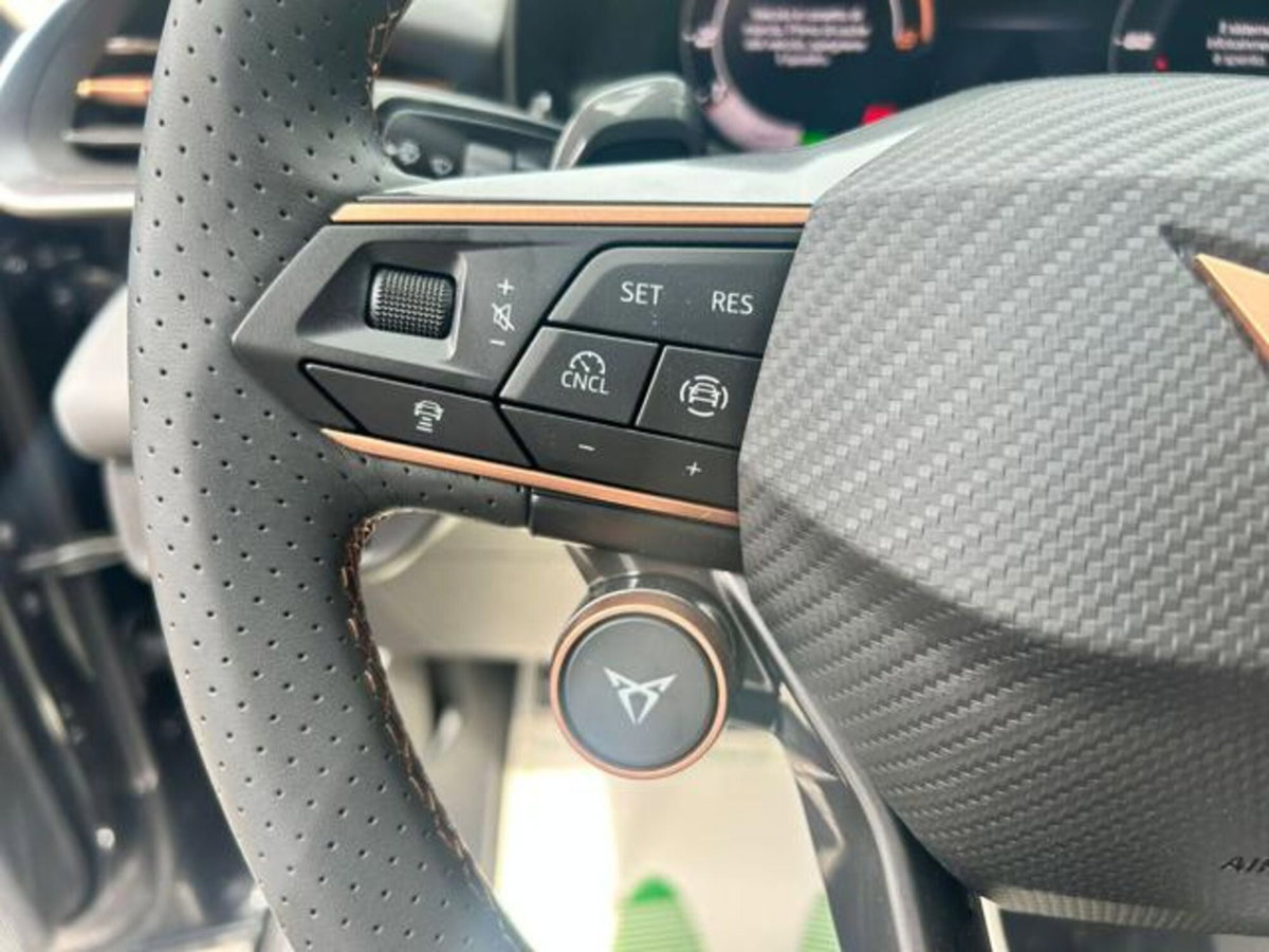 Cupra Terramar 1.5 hybrid 150cv dsg (15)