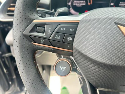 Cupra Terramar 1.5 hybrid 150cv dsg (15)