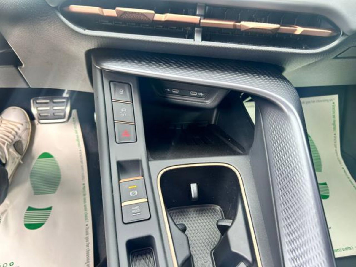 Cupra Terramar 1.5 hybrid 150cv dsg (19)