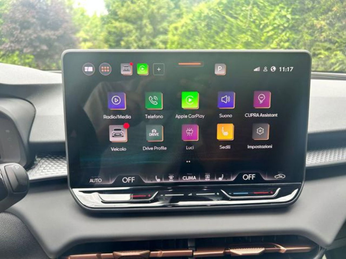 Cupra Terramar 1.5 hybrid 150cv dsg (20)