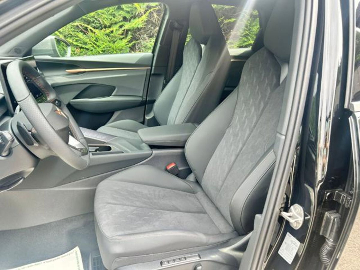 Cupra Terramar 1.5 hybrid 150cv dsg (8)