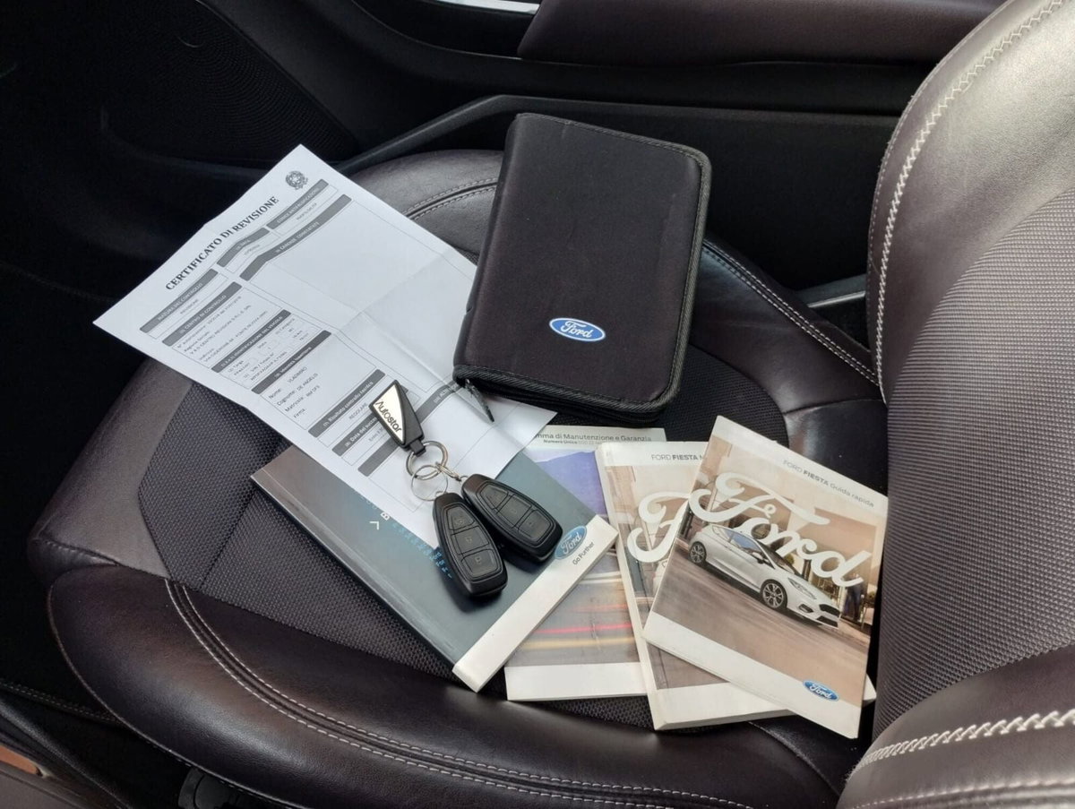 Ford Fiesta 1.0 Ecoboost 100 CV aut. 5 porte Vignale (15)