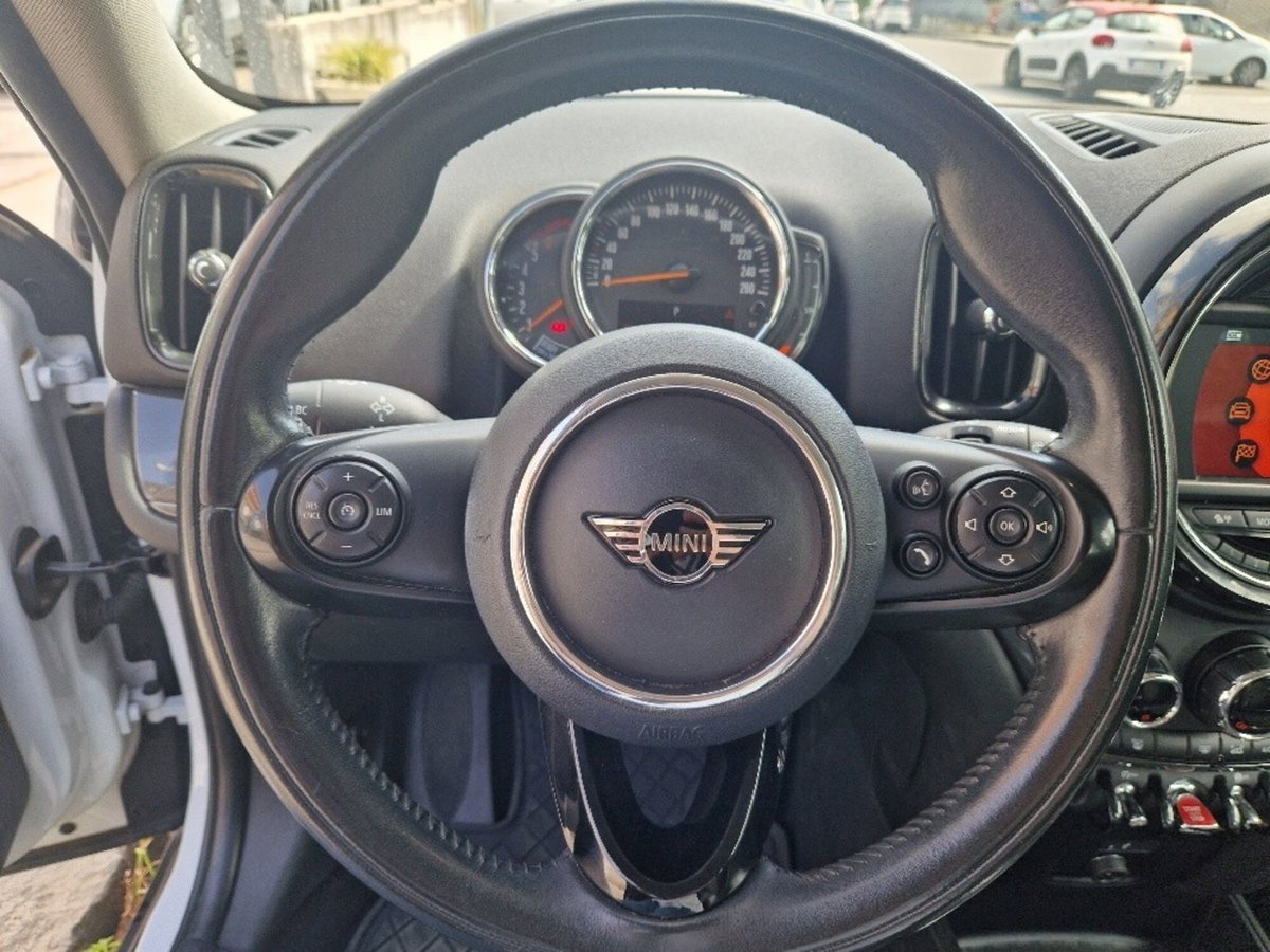 MINI Mini Countryman 2.0 Cooper D Business Countryman ALL4 Automatica (10)