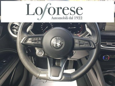 Alfa Romeo Stelvio Stelvio 2.2 Turbodiesel 160 CV AT8 RWD Sprint (16)