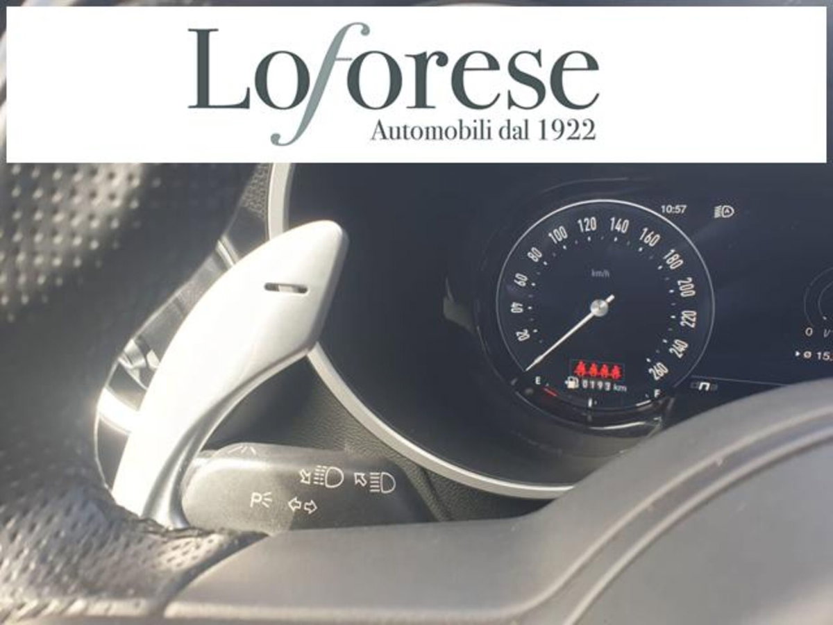 Alfa Romeo Stelvio Stelvio 2.2 Turbodiesel 160 CV AT8 RWD Sprint (17)