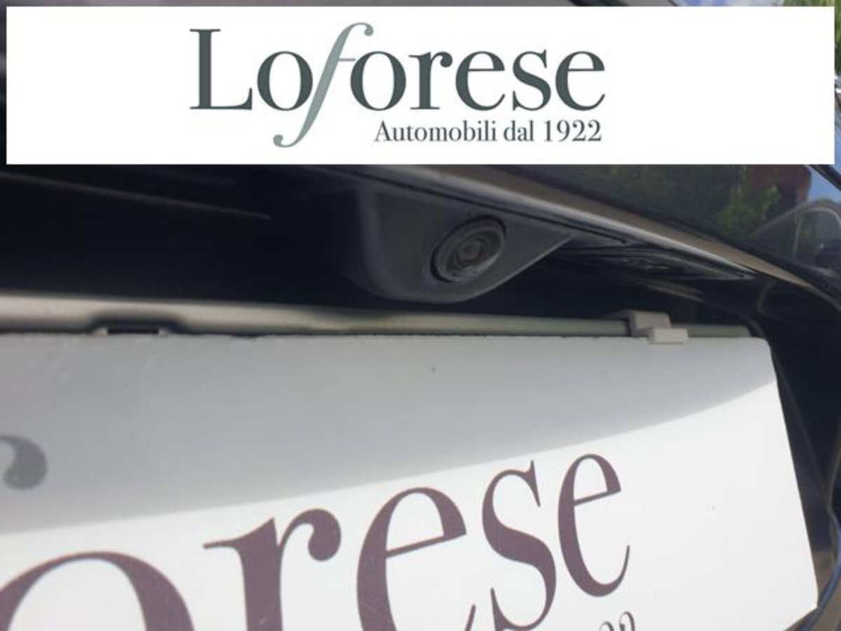 Alfa Romeo Stelvio Stelvio 2.2 Turbodiesel 160 CV AT8 RWD Sprint (6)