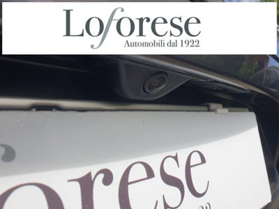 Alfa Romeo Stelvio Stelvio 2.2 Turbodiesel 160 CV AT8 RWD Sprint (6)
