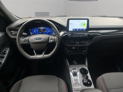 Ford Kuga 2.0 EcoBlue 120 CV aut. 2WD ST-Line X (15)